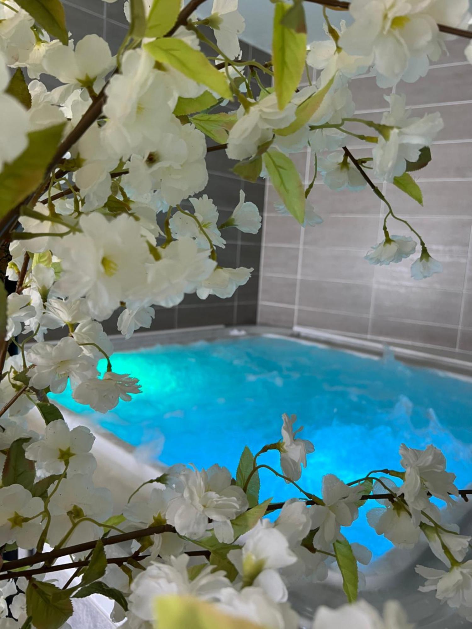 Hotel Calme Des Pins & Spa Les Sables-dʼOlonne Exterior foto